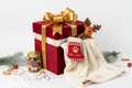 Luxury Pet Holiday Christmas Gift Set