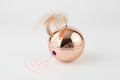 Rose Gold Automatic Laser & Feather Interactive Pet Toy