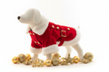 Red Velvet Holiday Dog Coat
