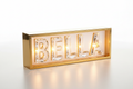Gold Marquee Pet Name Light Box