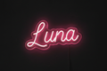 Custom Pet Name LED Neon Sign