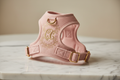 Embroidered Monogram Pet Harness