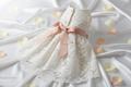 Ivory Lace Wedding Dog Dress